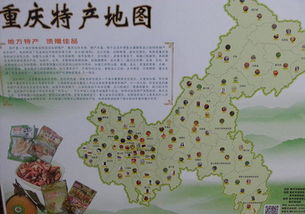 重庆特产地图